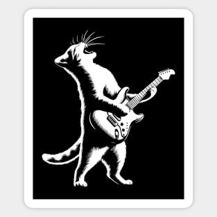 Cat Guitarist Magnet